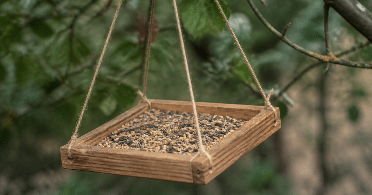 Planche bois suspendue avec compartiment rempli graines oiseaux